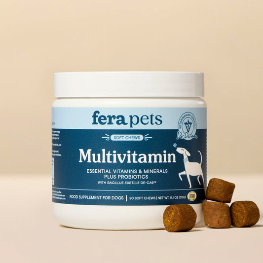 Multivitamin Soft Chews(90 Chews)