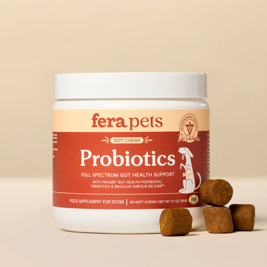 Probiotics Soft Chews(90 Chews)