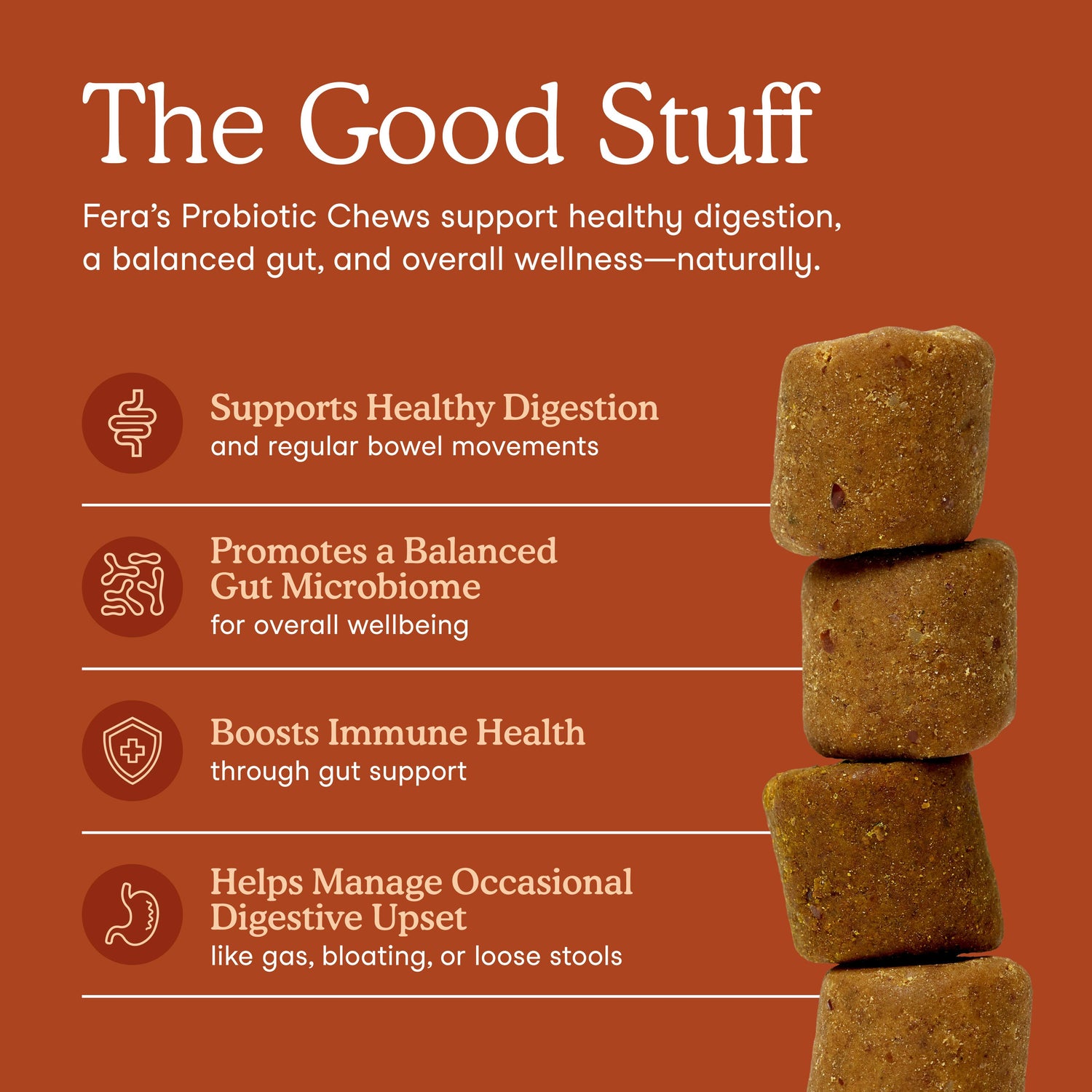 Fera Pets Probiotics Soft Chews  90 Chews