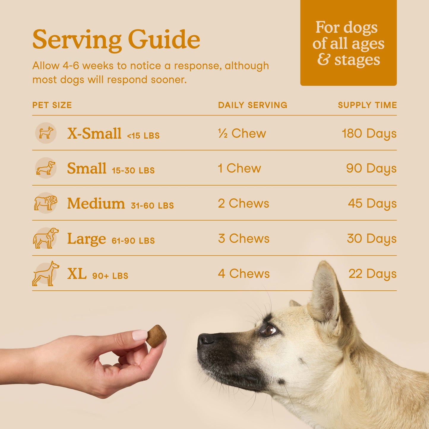 Allergy & Immune Soft Chews(90 Chews)