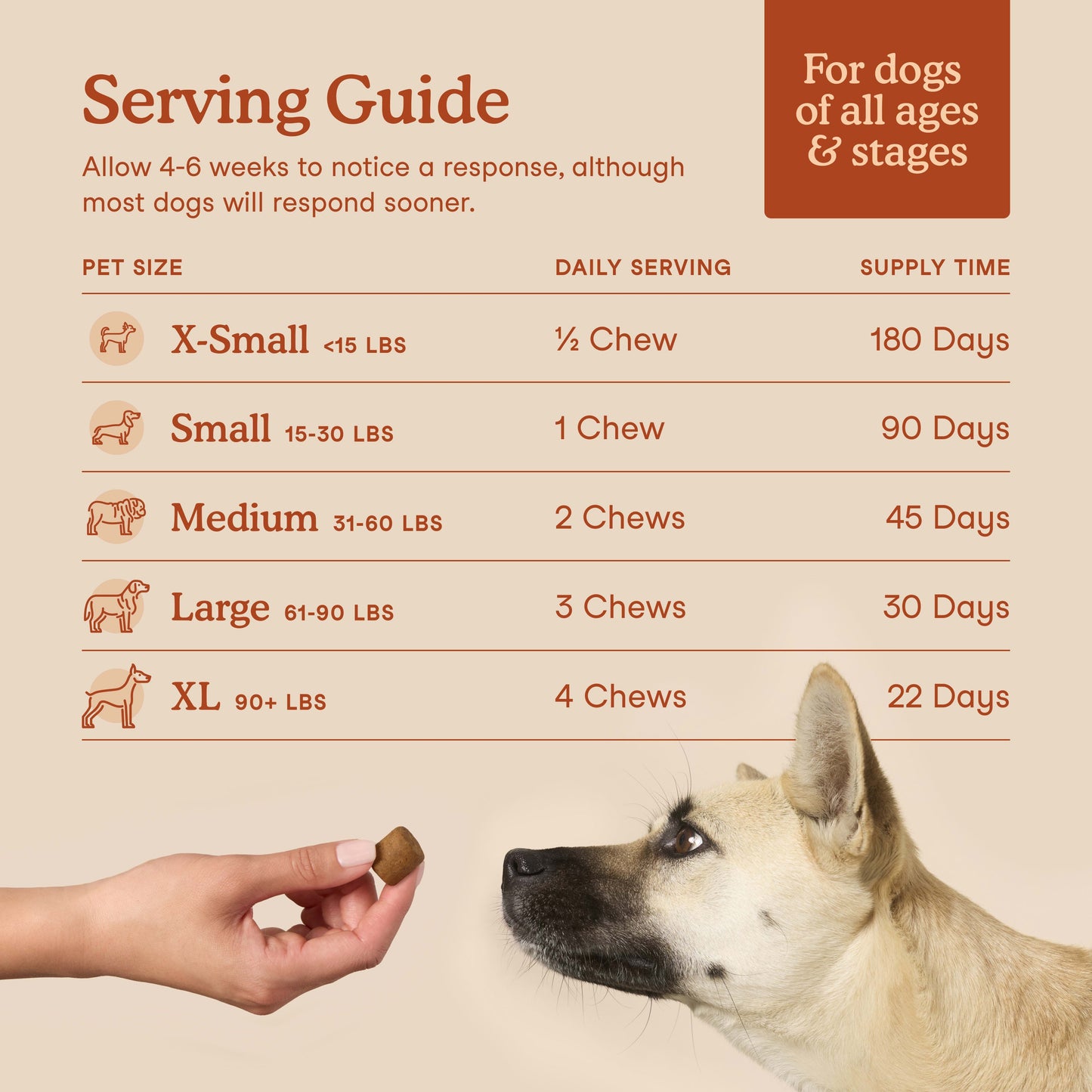 Probiotics Soft Chews(90 Chews)