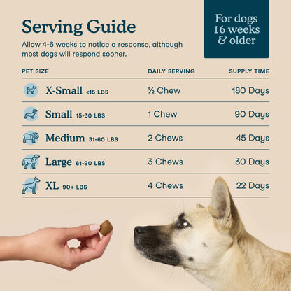 Multivitamin Soft Chews(90 Chews)